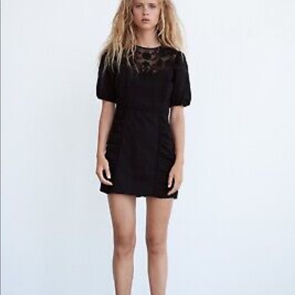 Zara lace mini dress XS - Picture 3 of 12